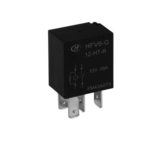 HFV6-G/12-HAST-D   Relays sample